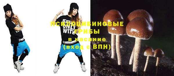 спайс Аркадак