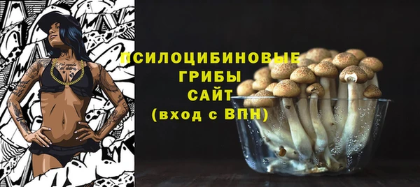 спайс Аркадак